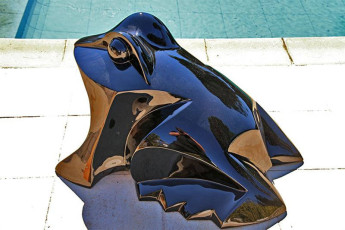 Grenouille XL (1)