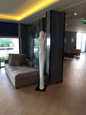 Vichy Hotel (102)