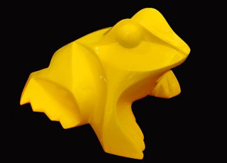 Grenouille Jaune