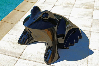Grenouille XL à la piscine 2