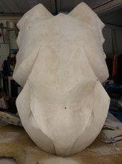 Grenouille XL plâtre original septembre 2013 (115)